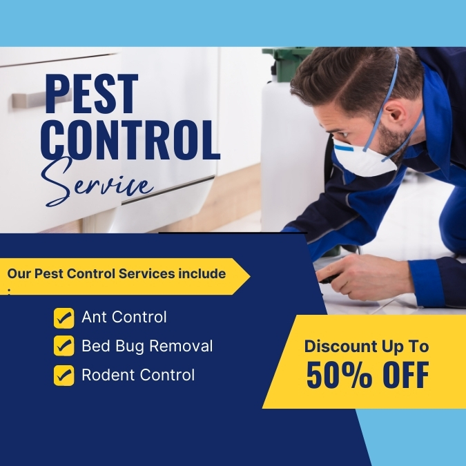 Cagino Pest Control Service Design